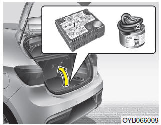 Lekke band (met Tire Mobility Kit)