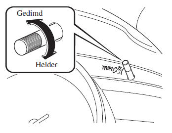 Instrumentenpaneelverlichting